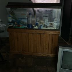 Fish Tank
