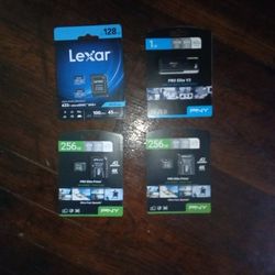 ×3 SD  Cards ×1 Flashdrive PNY/LEXAR