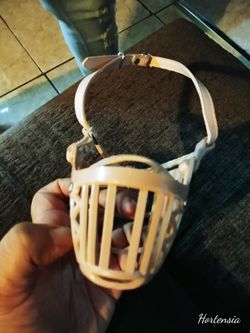 Dog plastic muzzle