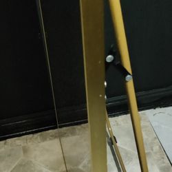 Full Length Mirror Gold Trim