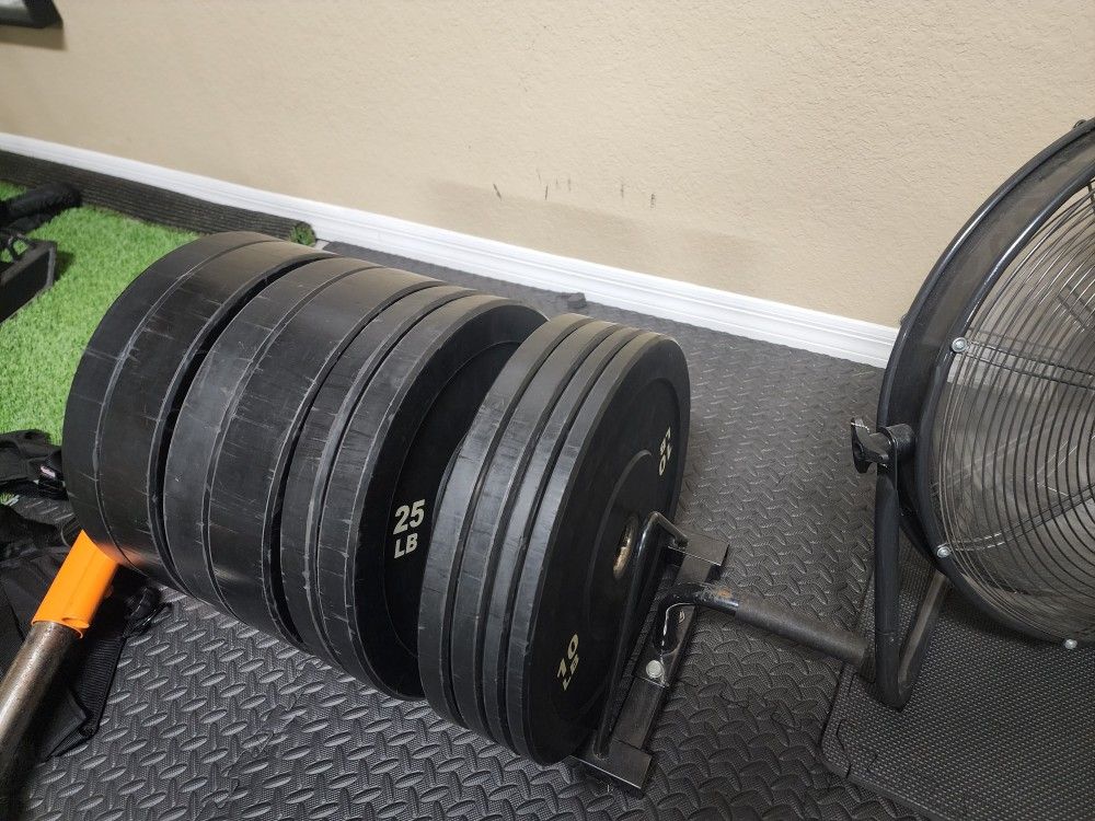 Bumper Rubber Plates