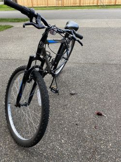 Roadmaster Mountain Bike
