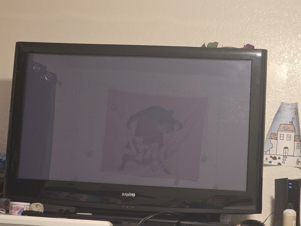Sanyo TV
