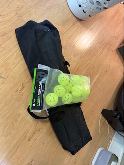 Pickleball net and balls