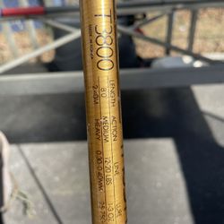 Salt Water Fishing Rod 