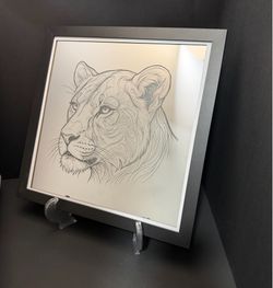 Lioness