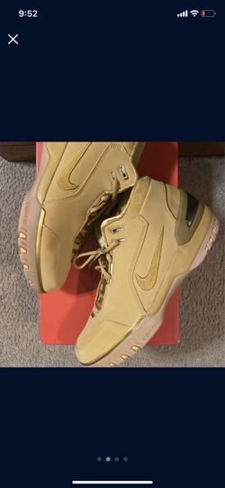 LeBron zoom Generation 1s size 10.5