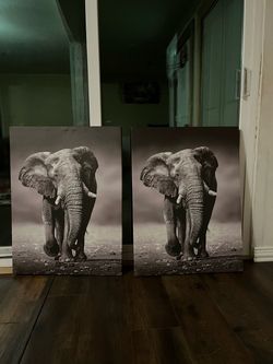 Elephant Canvas Wall Art Set of 2