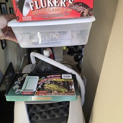 Puppy Incubator Used For French Bulldogs. 