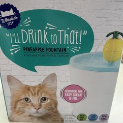 Water Fountain For Cat