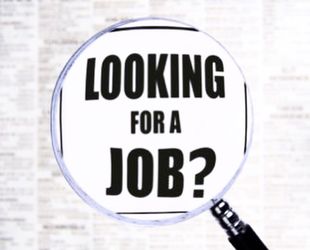 looking for jobs?