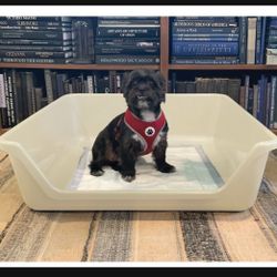 Shirley K's Indoor Dog Potty Tray, X-Large, Beige