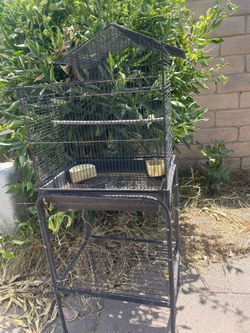 Birdcage