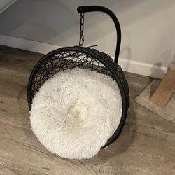 Cat Swing