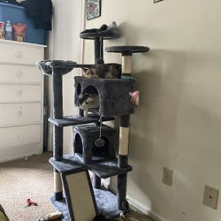 57 inch cat tree 