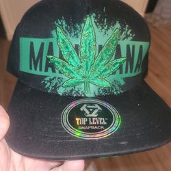 Cannabis hats snapbacks Brand New!! Great Gifts $10 Each 
