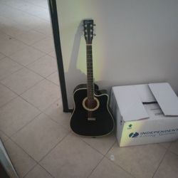 Black Esteban Guitar