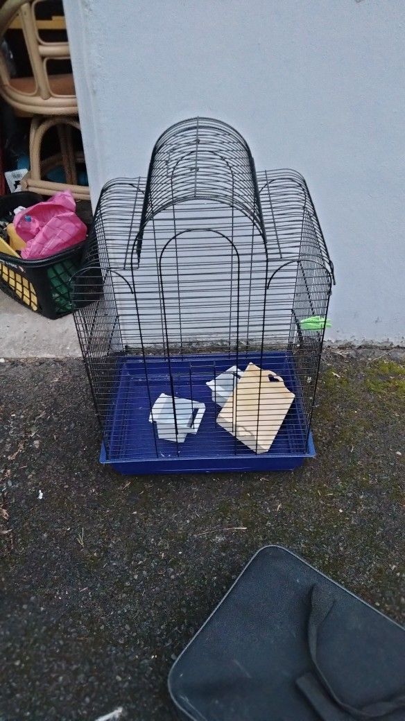 Bird Cage