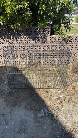 Dog Animal Cage