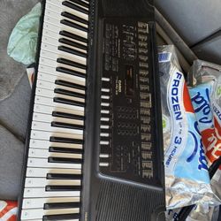 Casio Pro-300