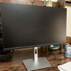 Two 24 Inch Dell Monitors 