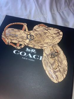 Coach Snakeskin Print Thong Sandals