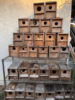 Nest Box