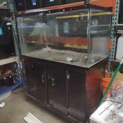 Fish Tank