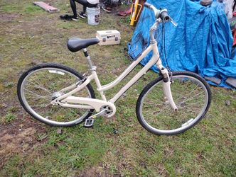 Giant Cypress Sx For Sale