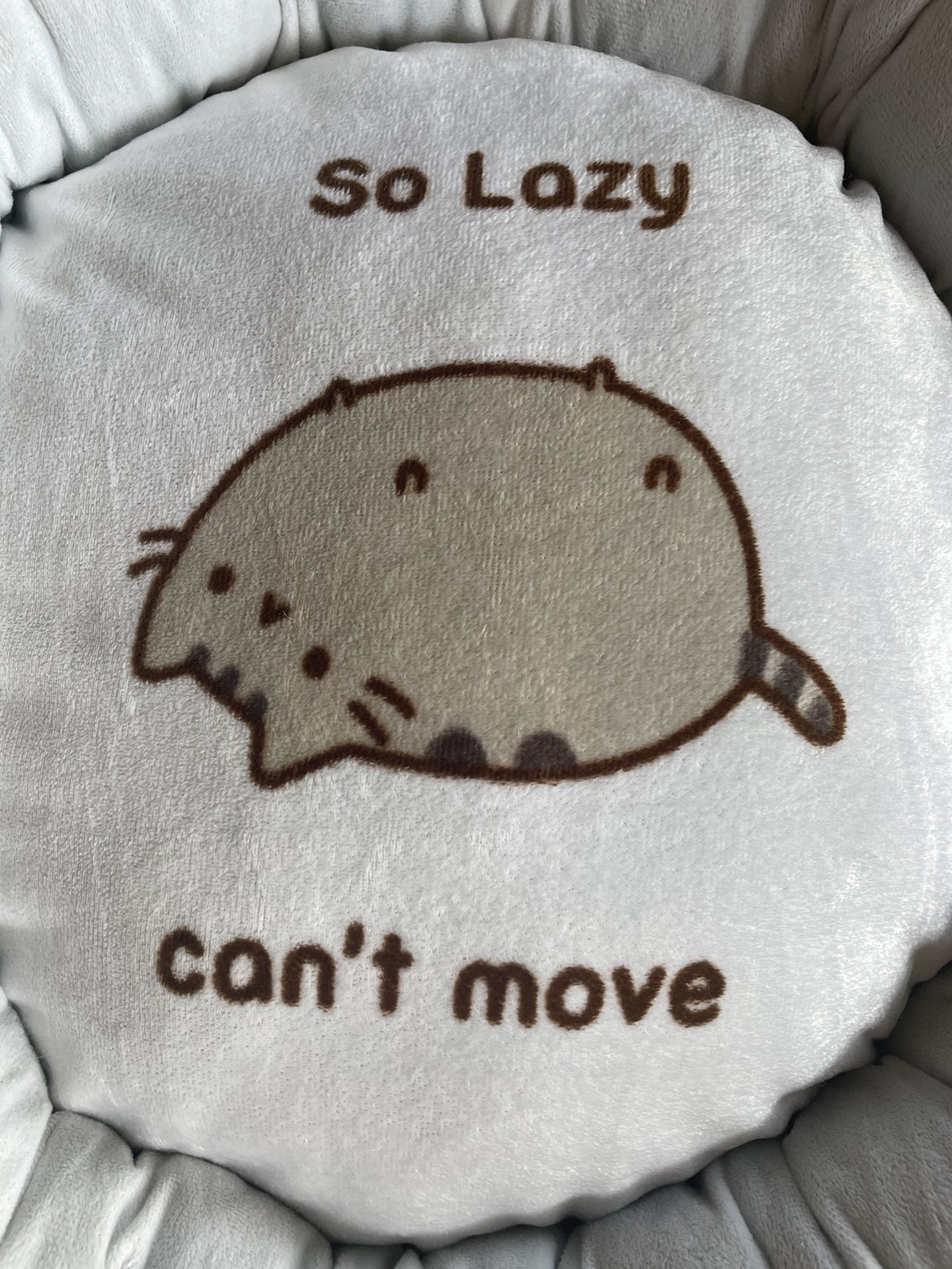 Pusheen Cat Pet Plush Bed So Lazy Can’t Move 18”x5”- NWOT