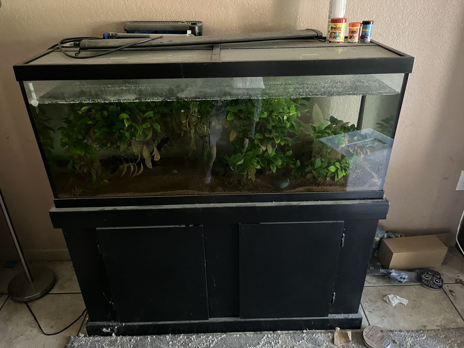 Fish Tank With Stand