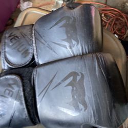 Venum Boxing gloves