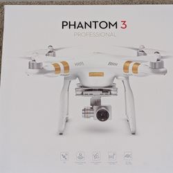 DJI Phantom 3 Professional 