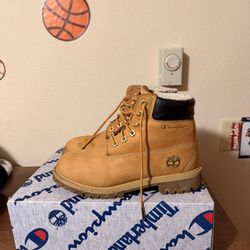 Timberland boots champion 