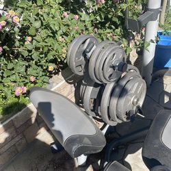 gold's gym weight bench