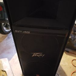 Peavey SP 4G Pair