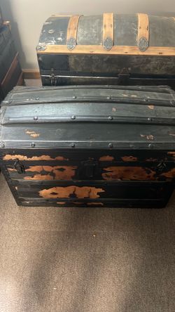 Trunk/chest