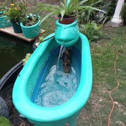 Turquoise Fish Fountain 