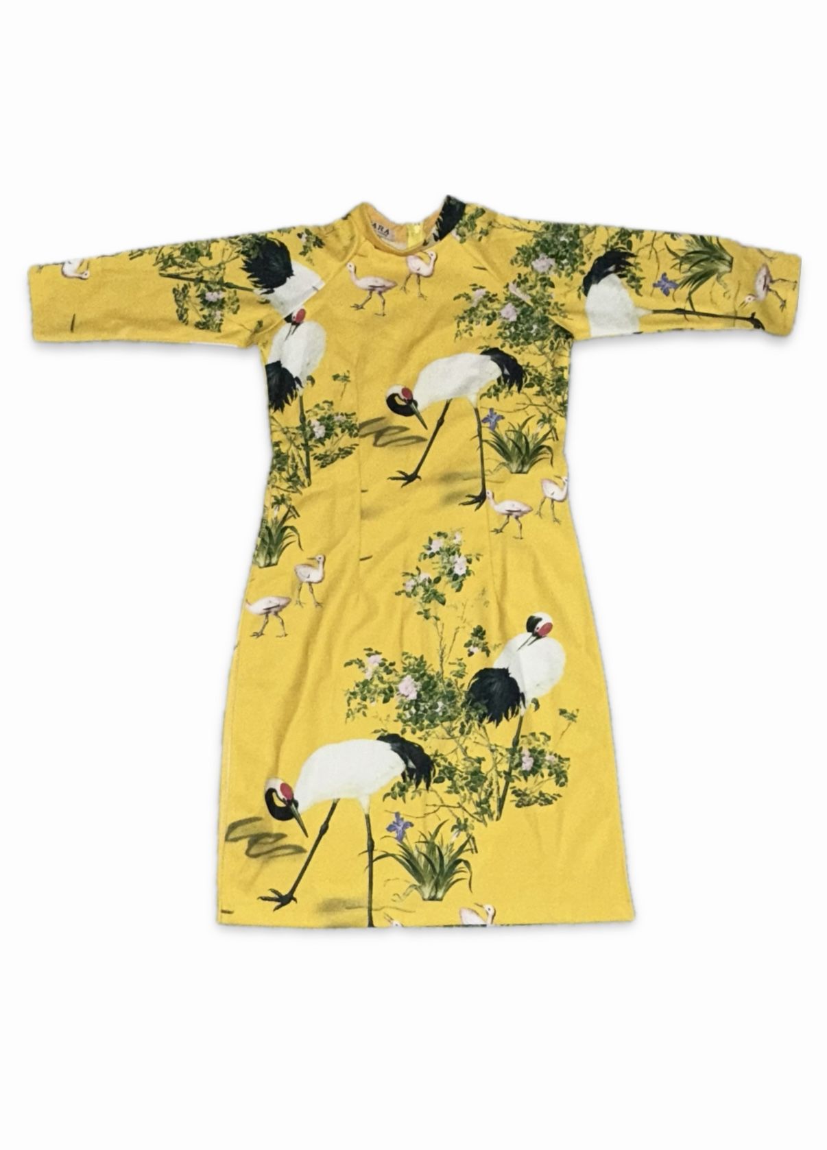 Zara Shirt Dress