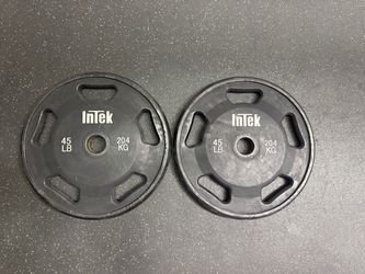 Intek 45 lb Olympic Weight Plates – Pair