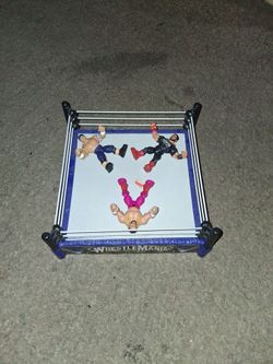 Wrestling ring with wrestlers