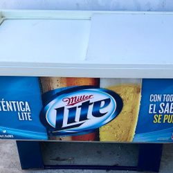 Hieleras Grandes $$$