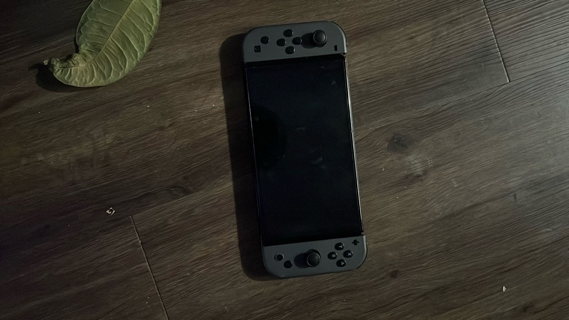 Nintendo Switch By Itself LED Light Controller, And Nintendo