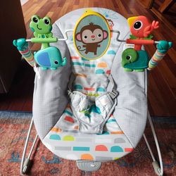 Baby Bouncer Seat