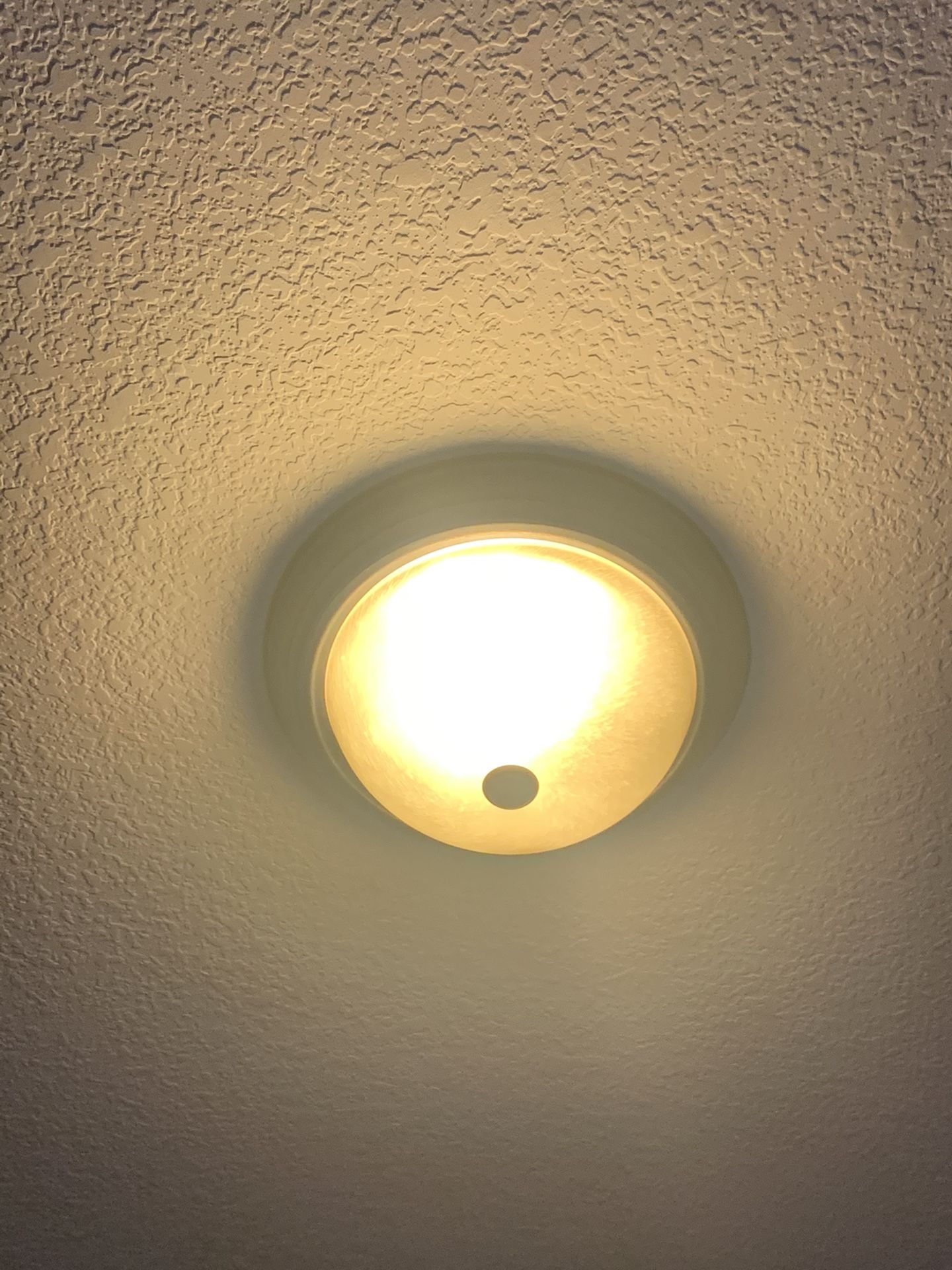Light Fixture