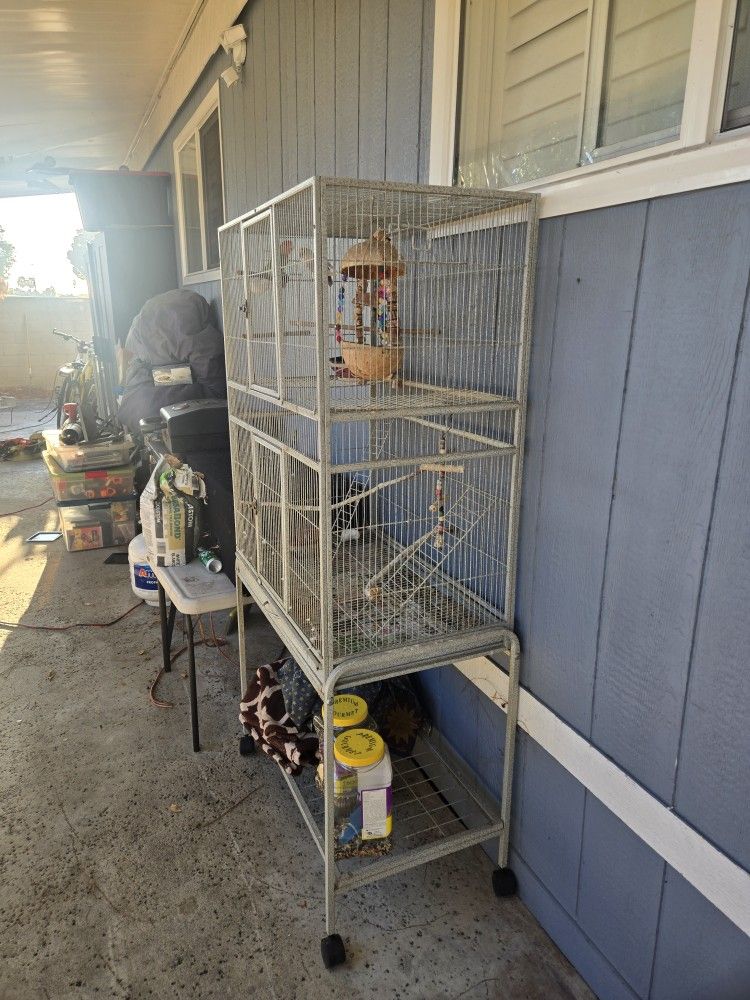 BIRD CAGE 
