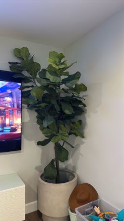 Fiddle leaf faux