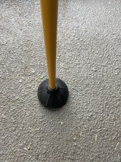Toilet Plunger