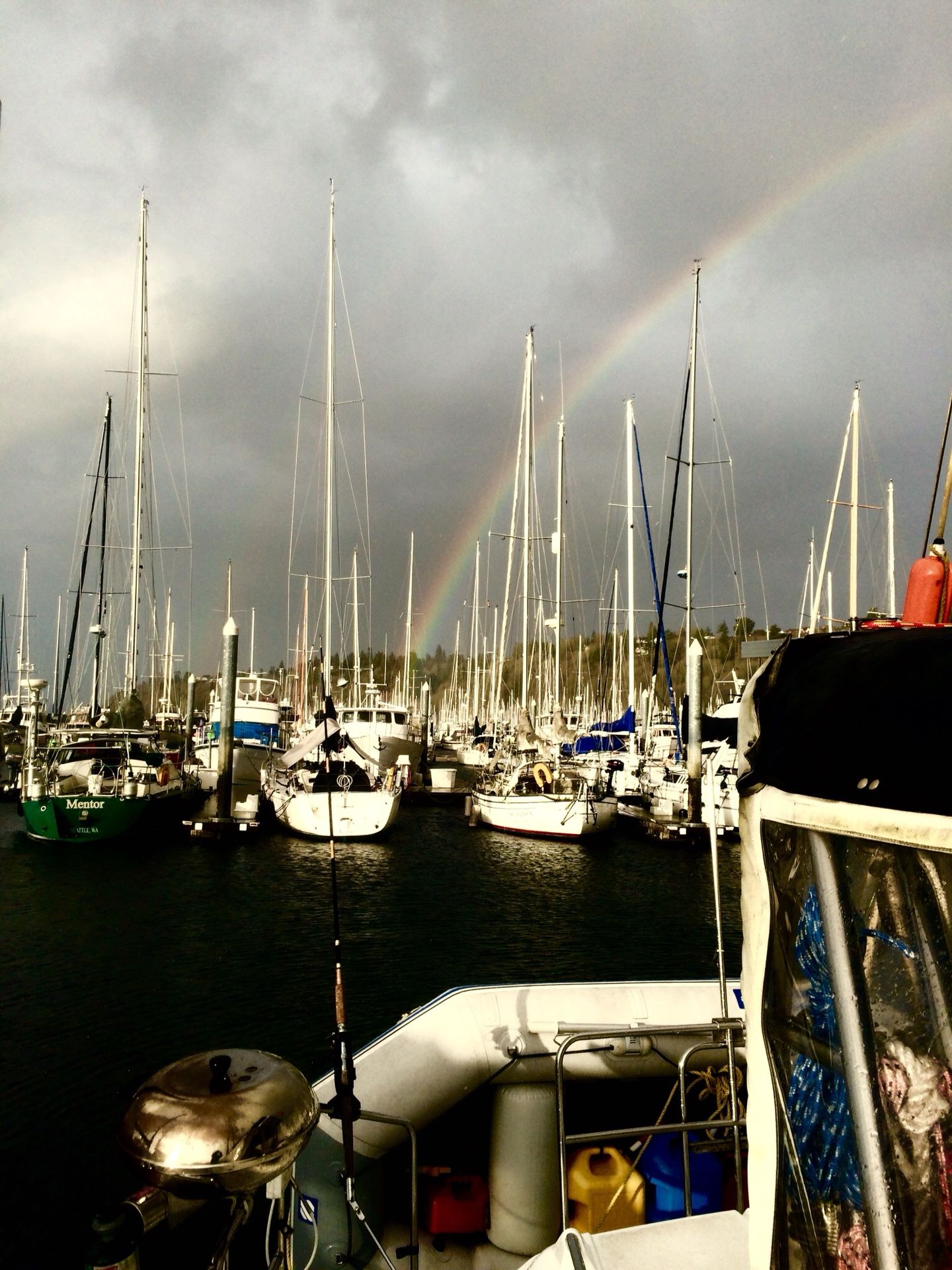 46ft Moorage Sublet at Shilshole Marina