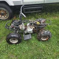Kids Quad 